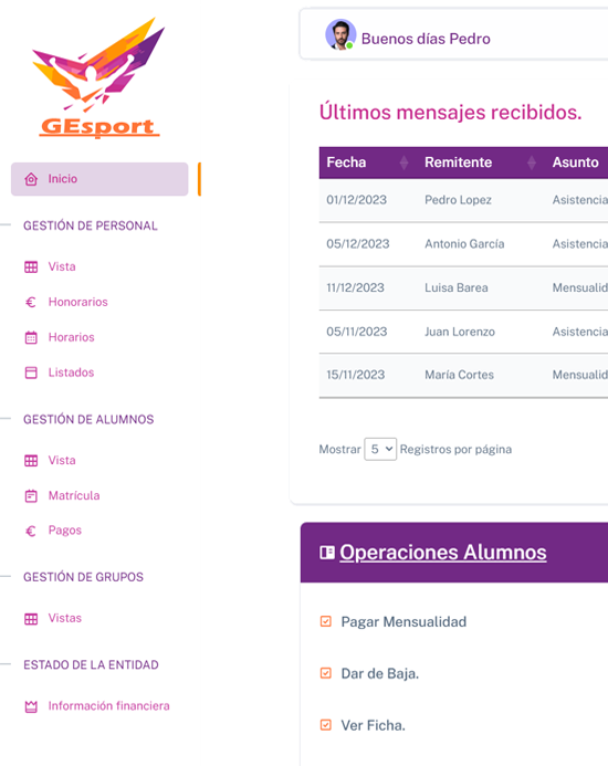 pagina web profesional